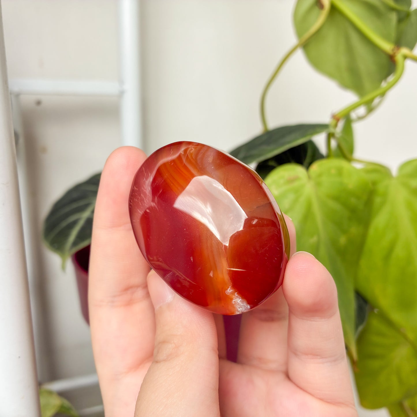 CRAZY SALE: Carnelian Agate Heart & Oval Palm Stone