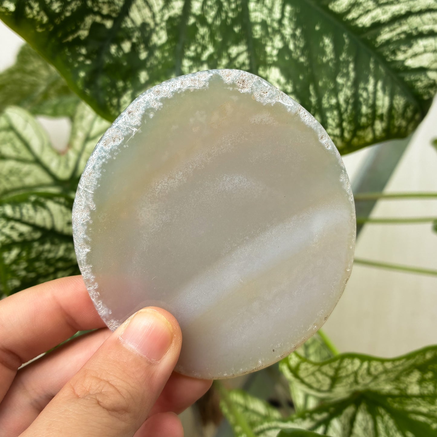 CRAZY SALE: Agate Slab | Agate Slice | Agate Coaster