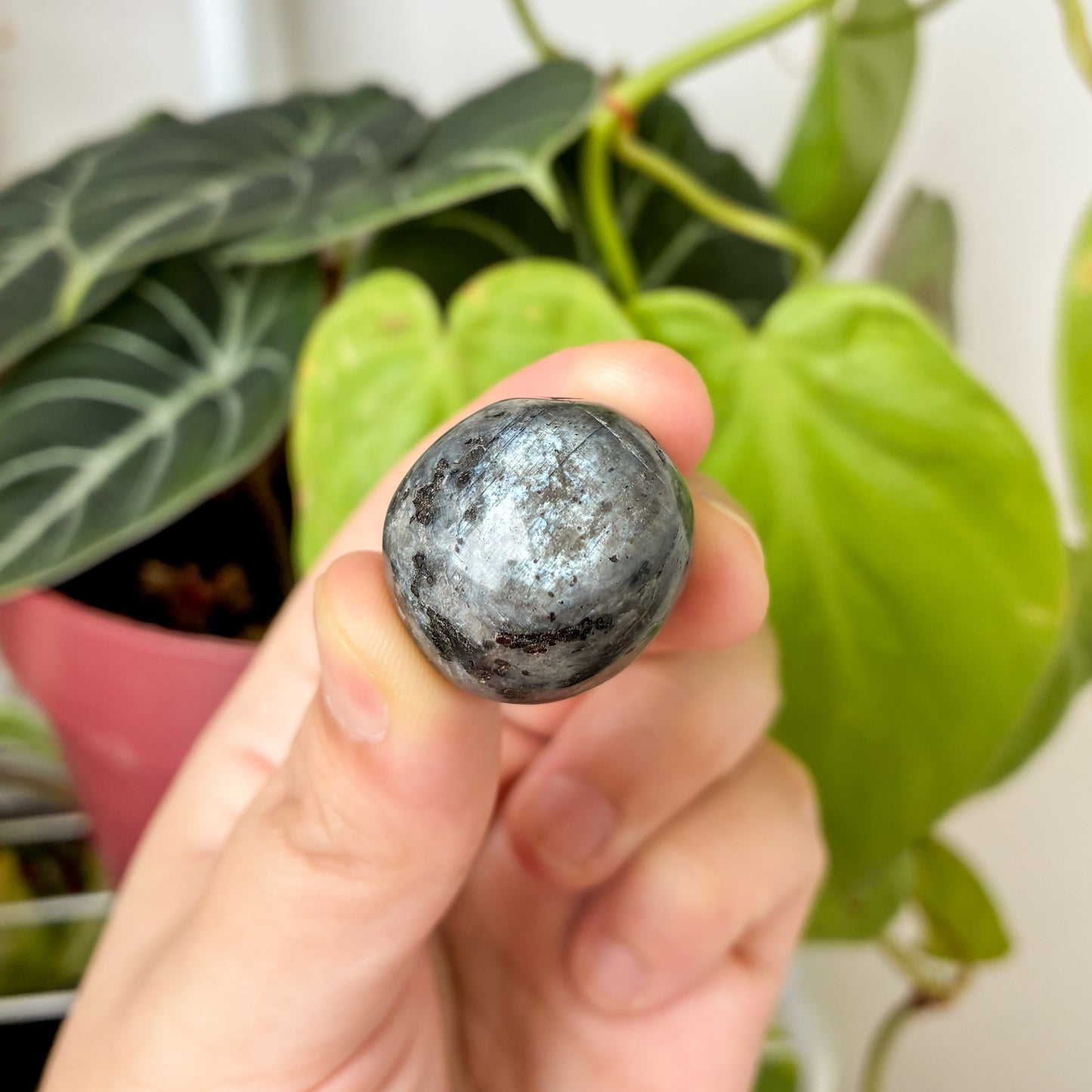 CRAZY SALE: Larvikite Tumble
