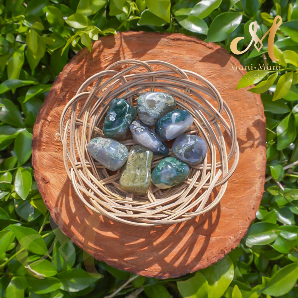 Moss Agate Tumbled Crystal