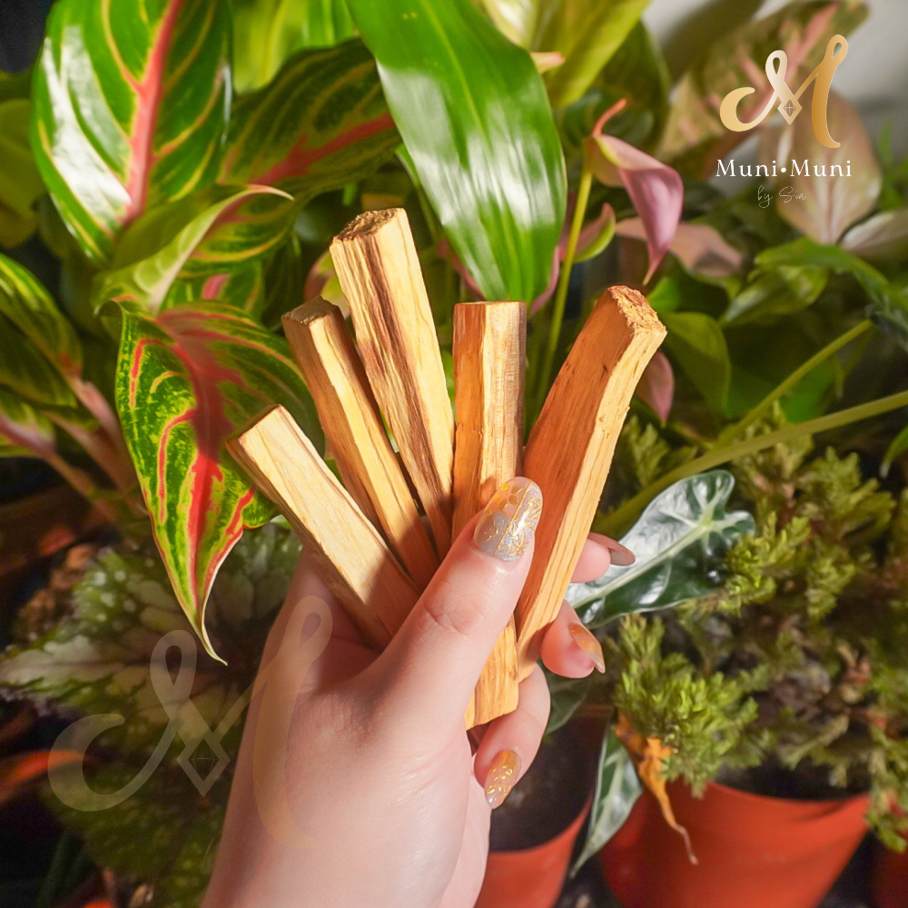Palo Santo (Crystal Cleansing Incense)