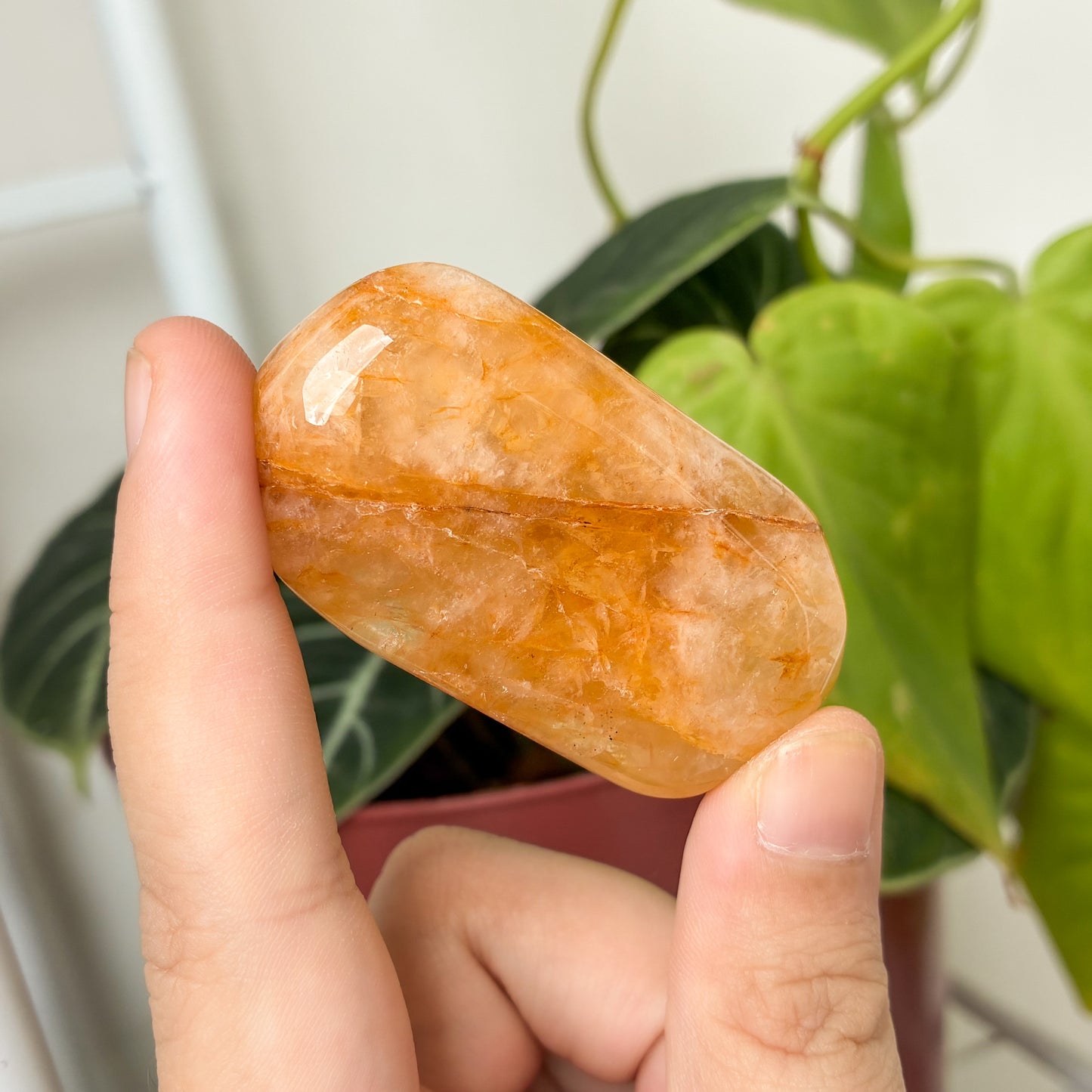 CRAZY SALE: Crystal Palm Stones