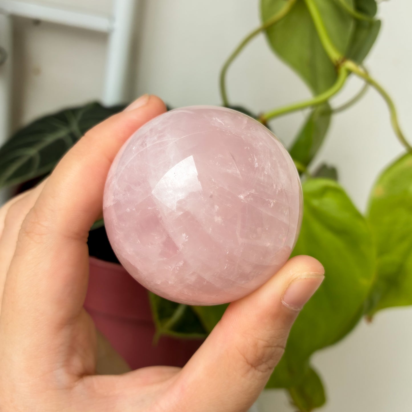 CRAZY SALE: Madagascar Rose Quartz Sphere (62-63mm)