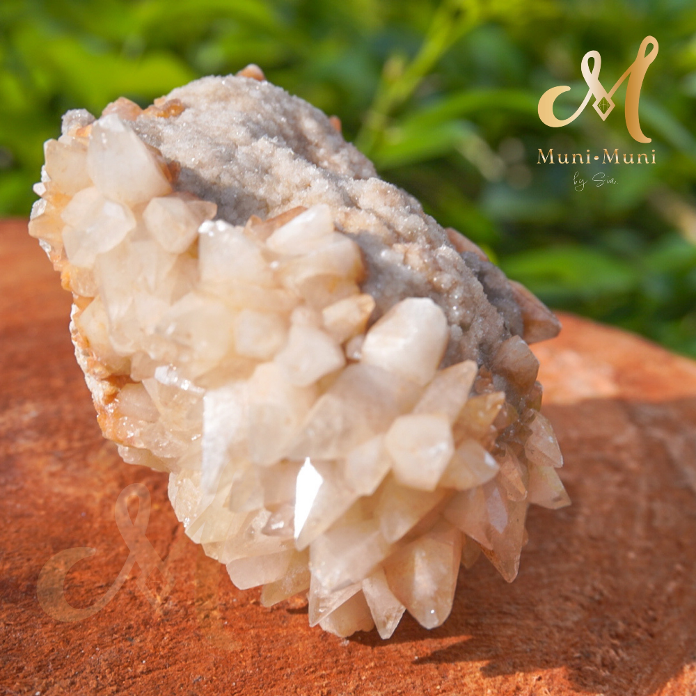 Dog Tooth Calcite Raw Cluster