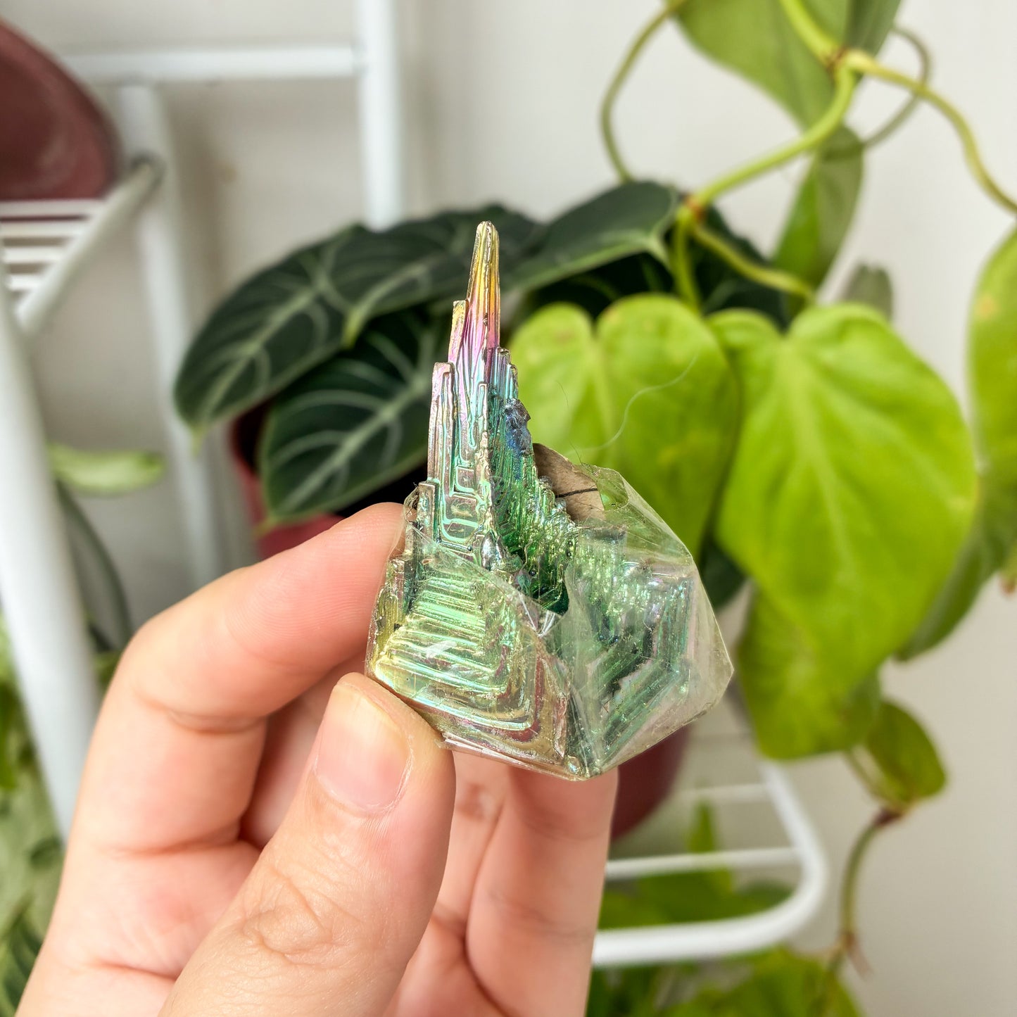 CRAZY SALE: Bismuth