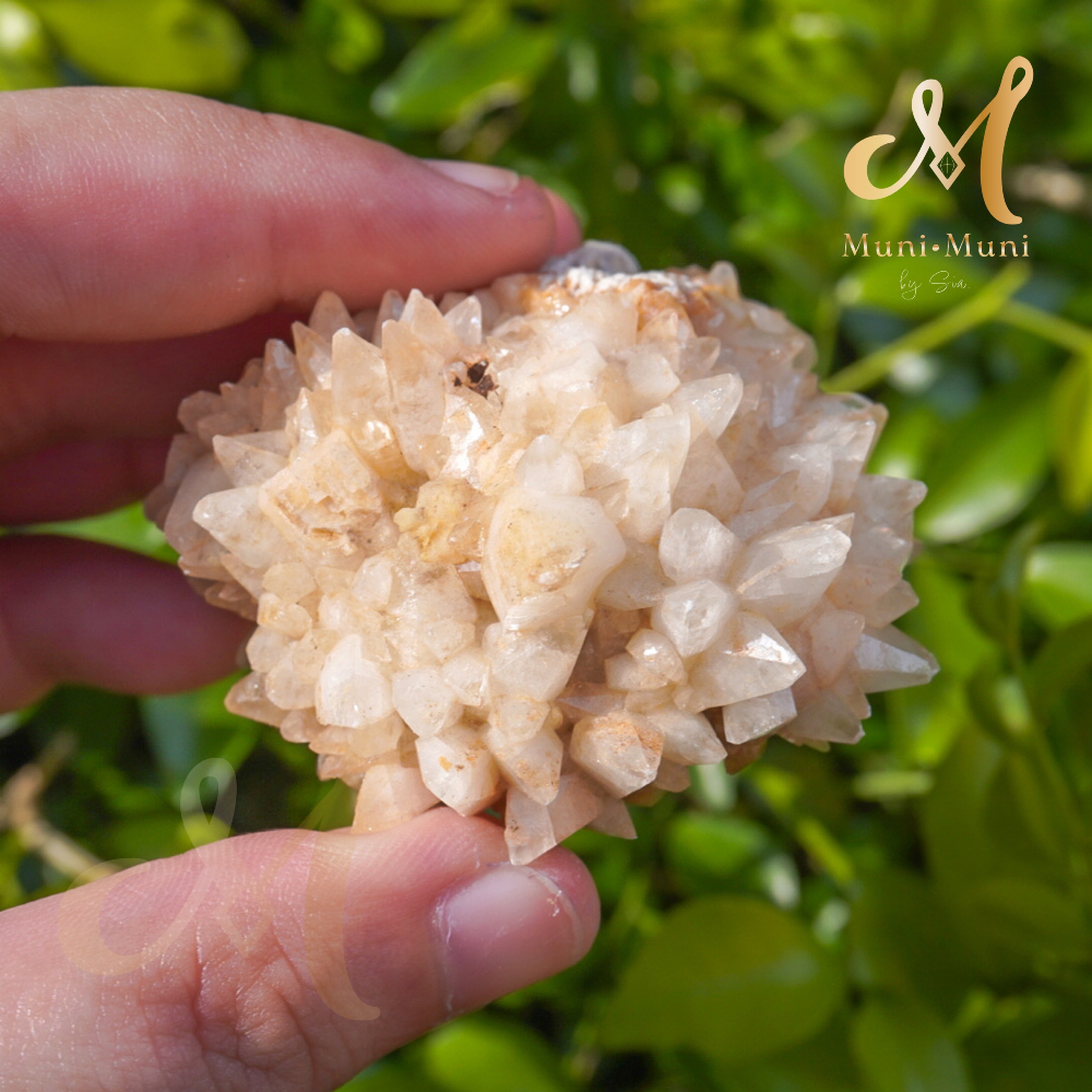 Dog Tooth Calcite Raw Cluster