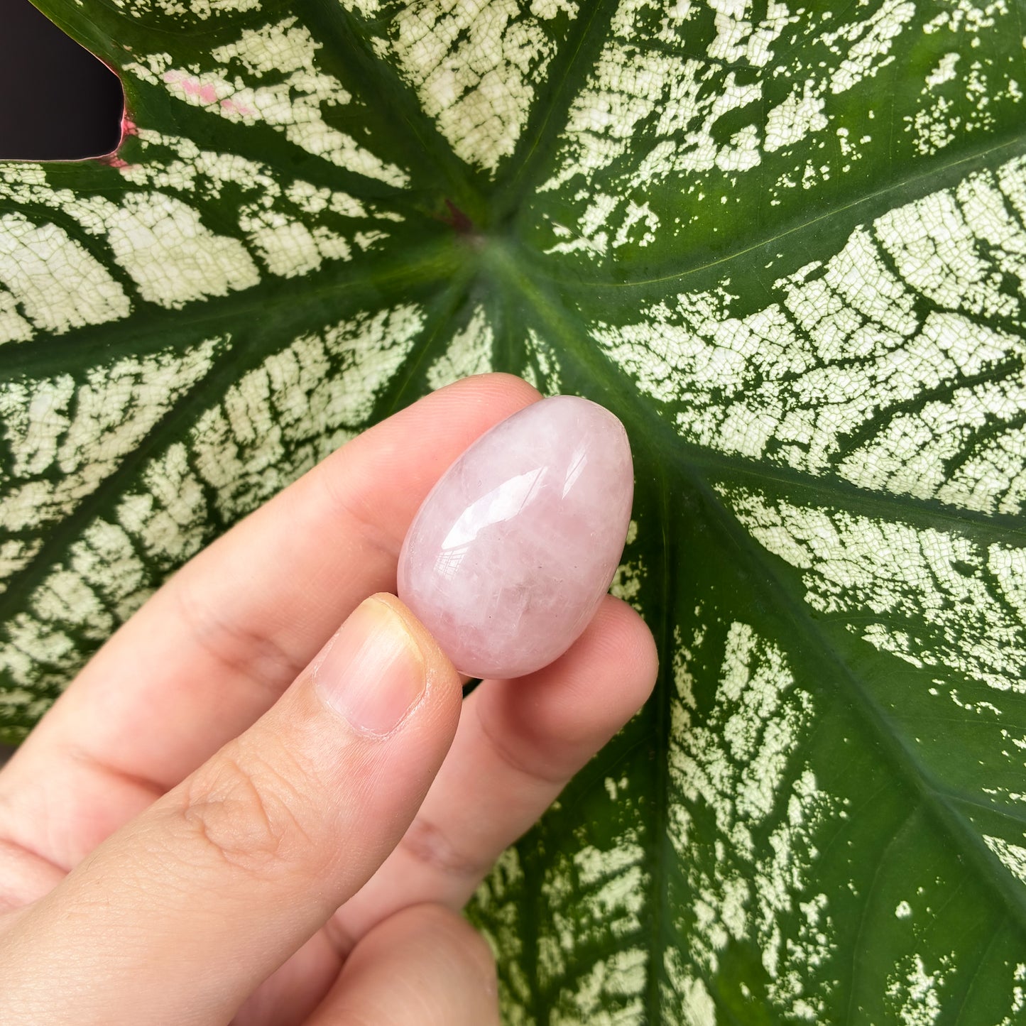 CRAZY SALE: Crystal Eggs