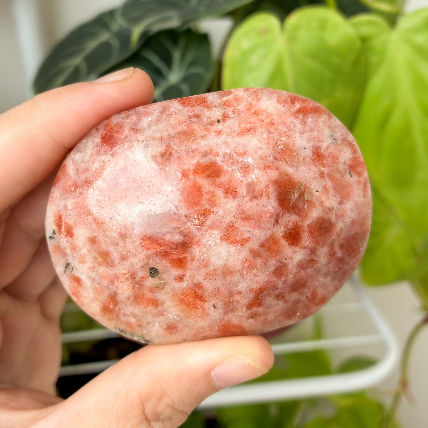 CRAZY SALE: Sunstone Palm Stone