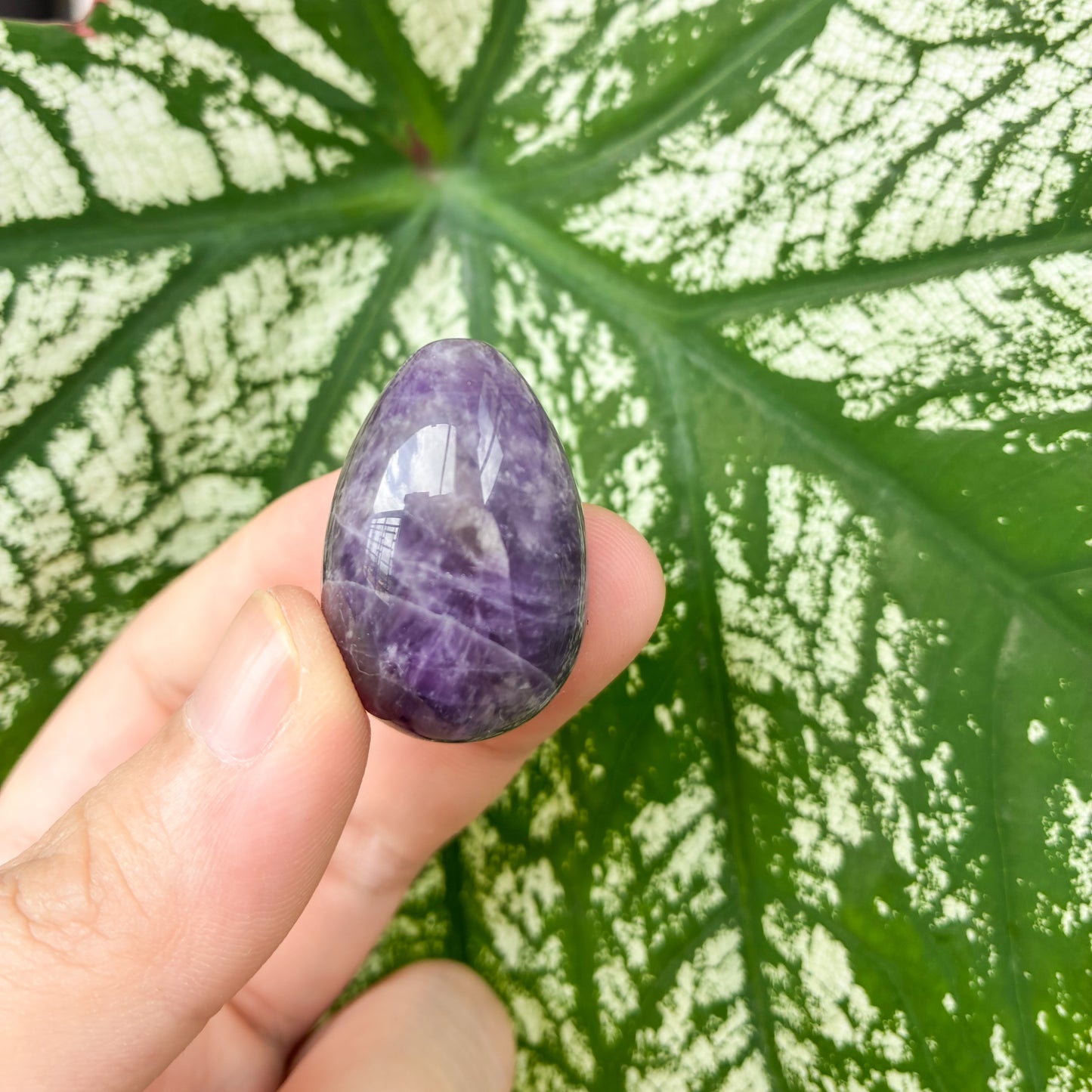 CRAZY SALE: Crystal Eggs