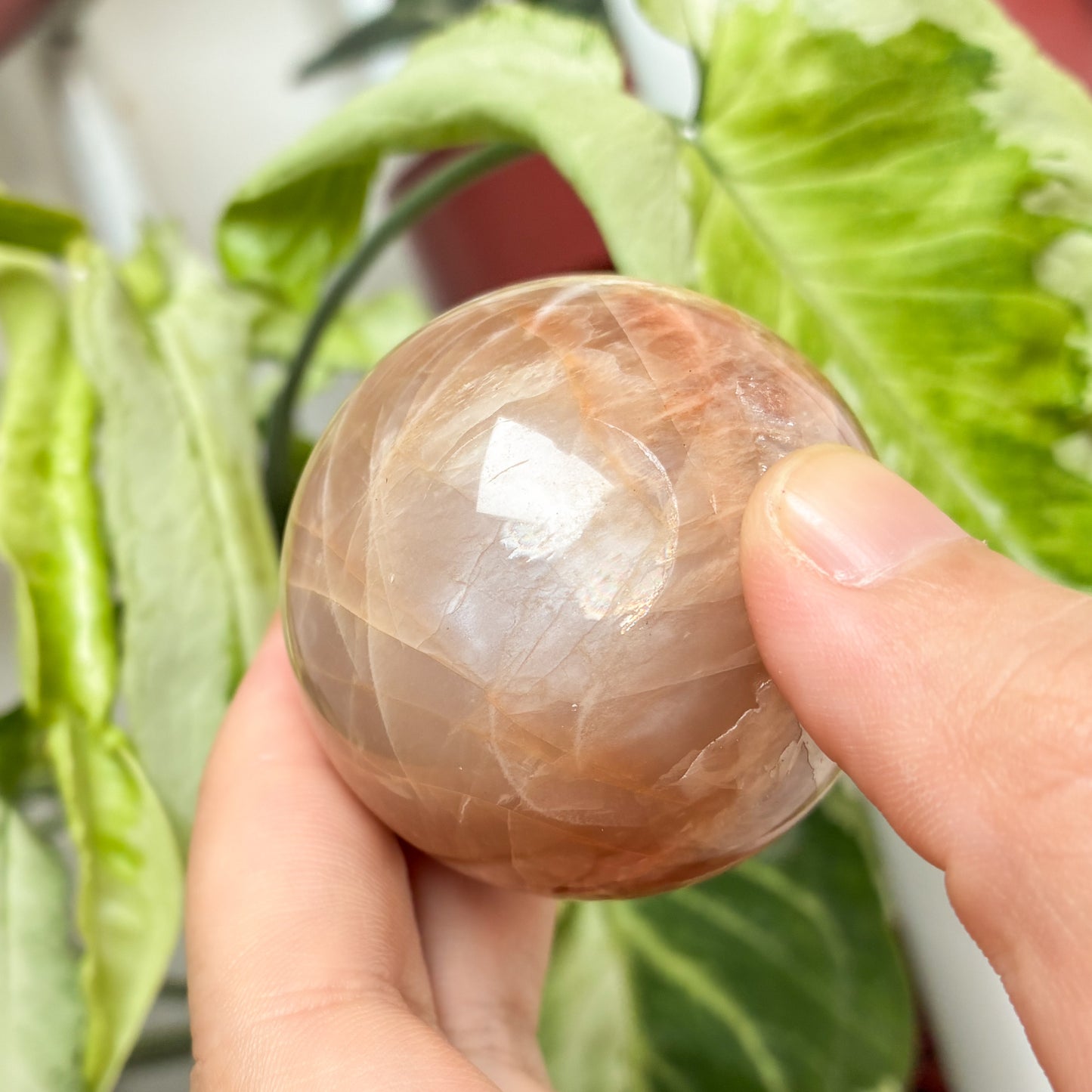 CRAZY SALE: Peach Moonstone (35-40mm)