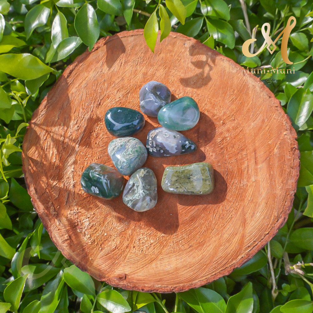 Moss Agate Tumbled Crystal