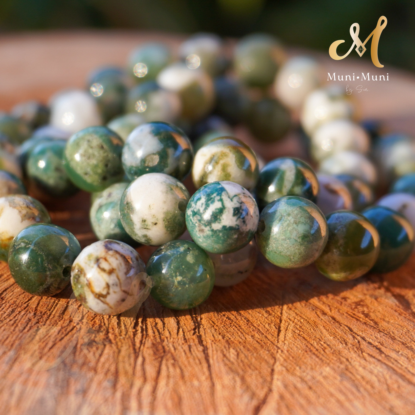 Tree Agate Bracelet 10mm