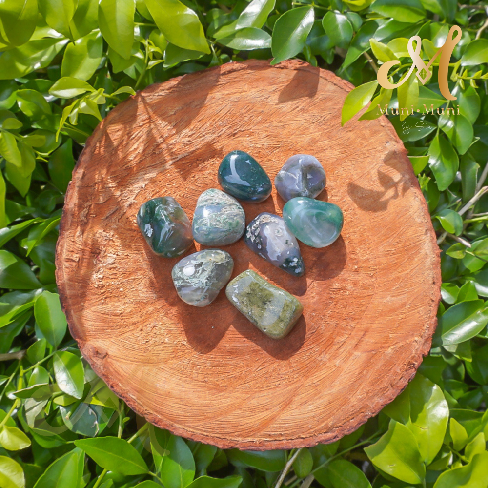 Moss Agate Tumbled Crystal
