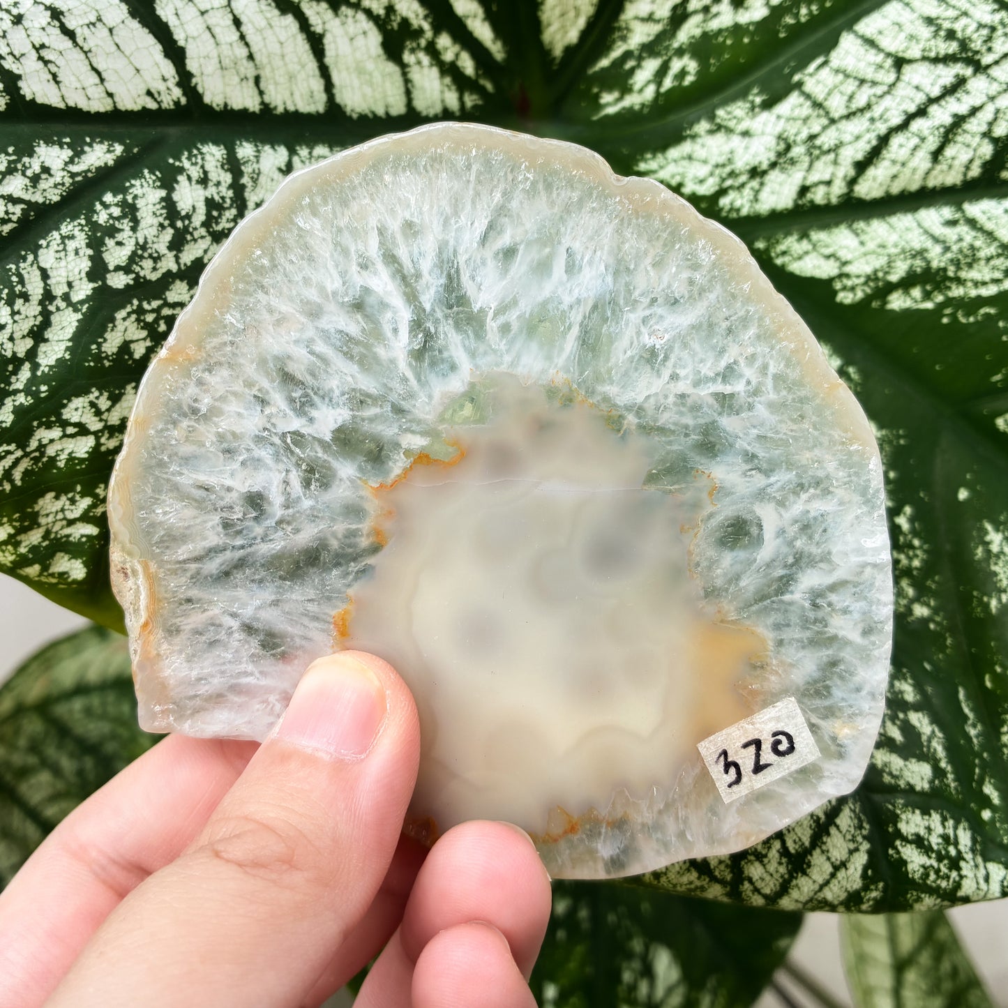 CRAZY SALE: Agate Slab | Agate Slice | Agate Coaster