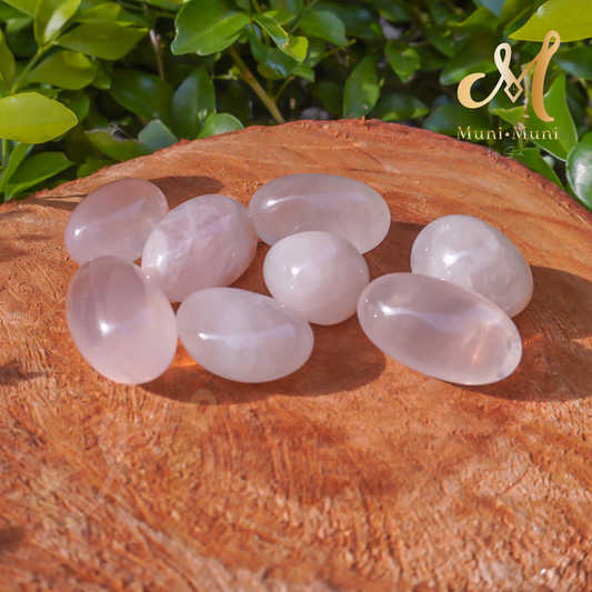 Rose Quartz Tumbled Crystal