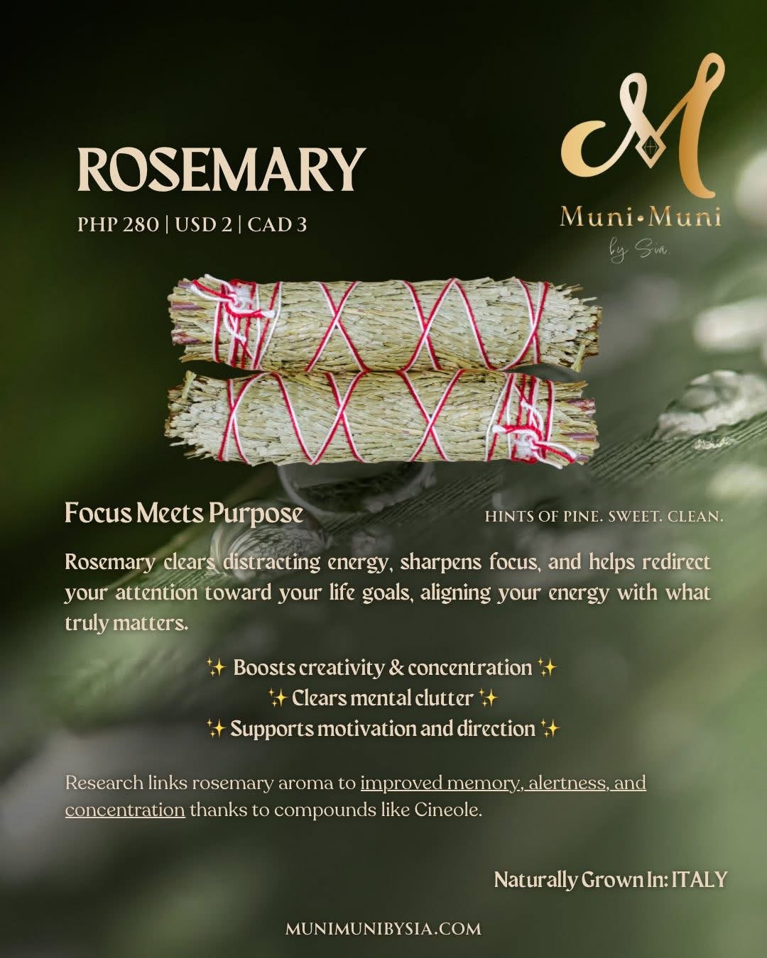 Organic Cleansing Sticks and Smudge Sticks