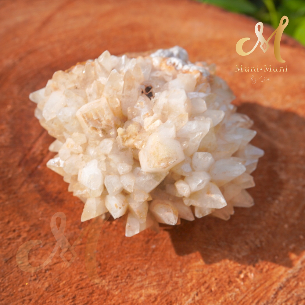 Dog Tooth Calcite Raw Cluster