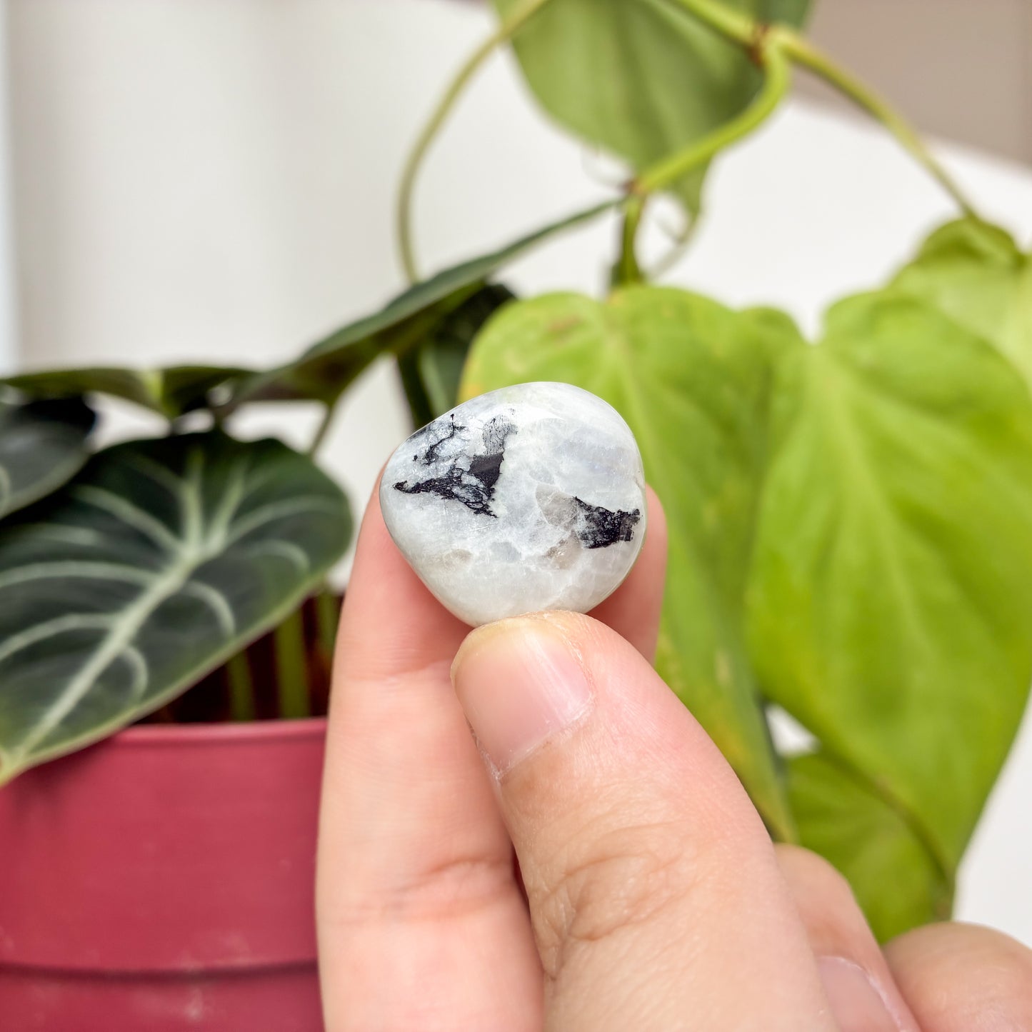 CRAZY SALE: Rainbow Moonstone Tumble