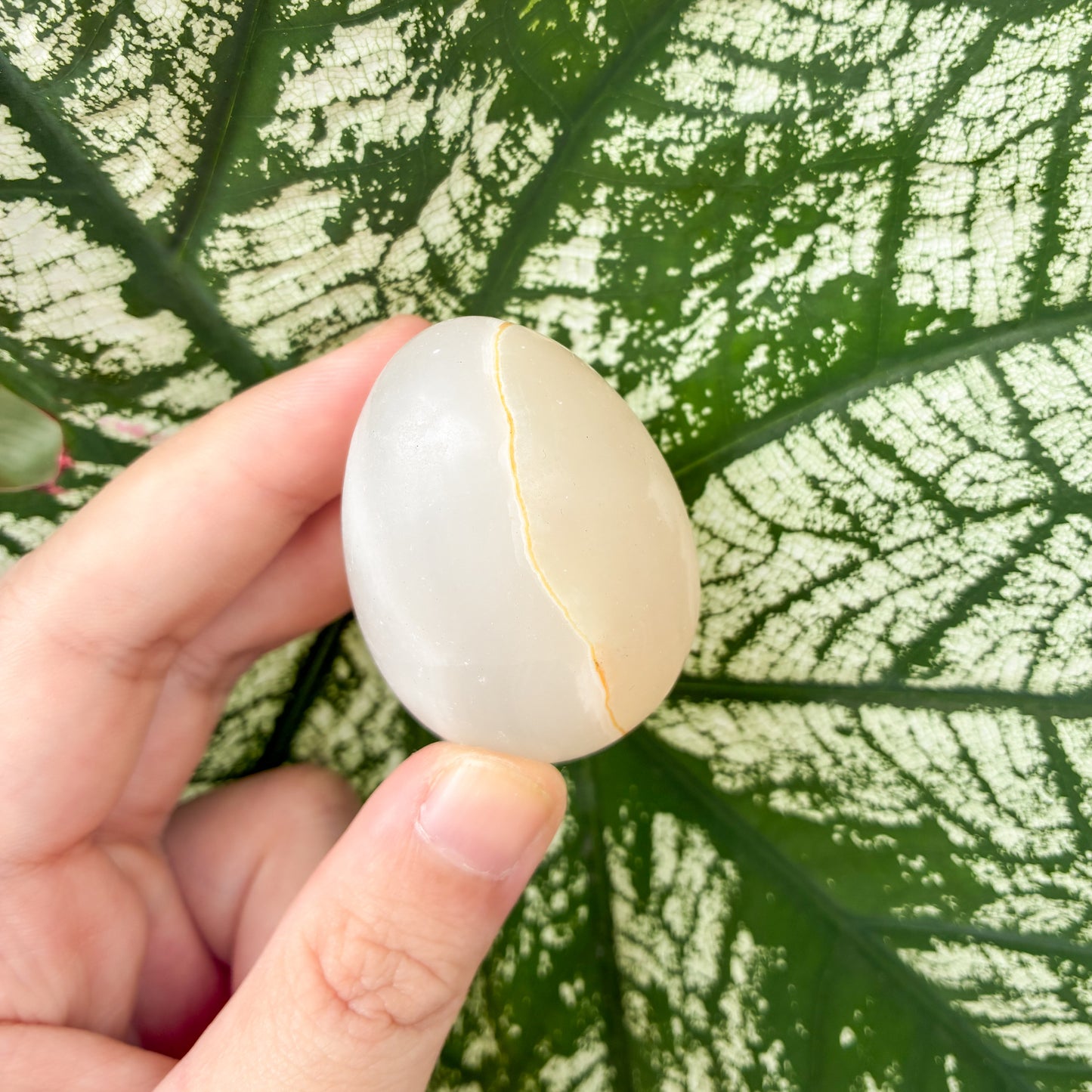 CRAZY SALE: Crystal Eggs