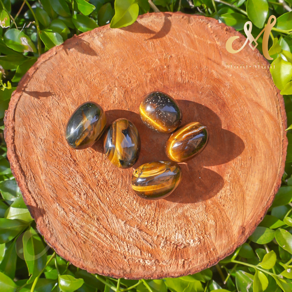 Tiger’s Eye Tumbled Crystal