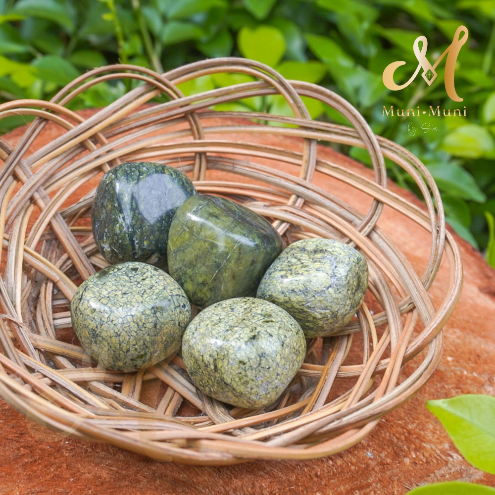 Snakeskin Jasper Tumbled Crystal