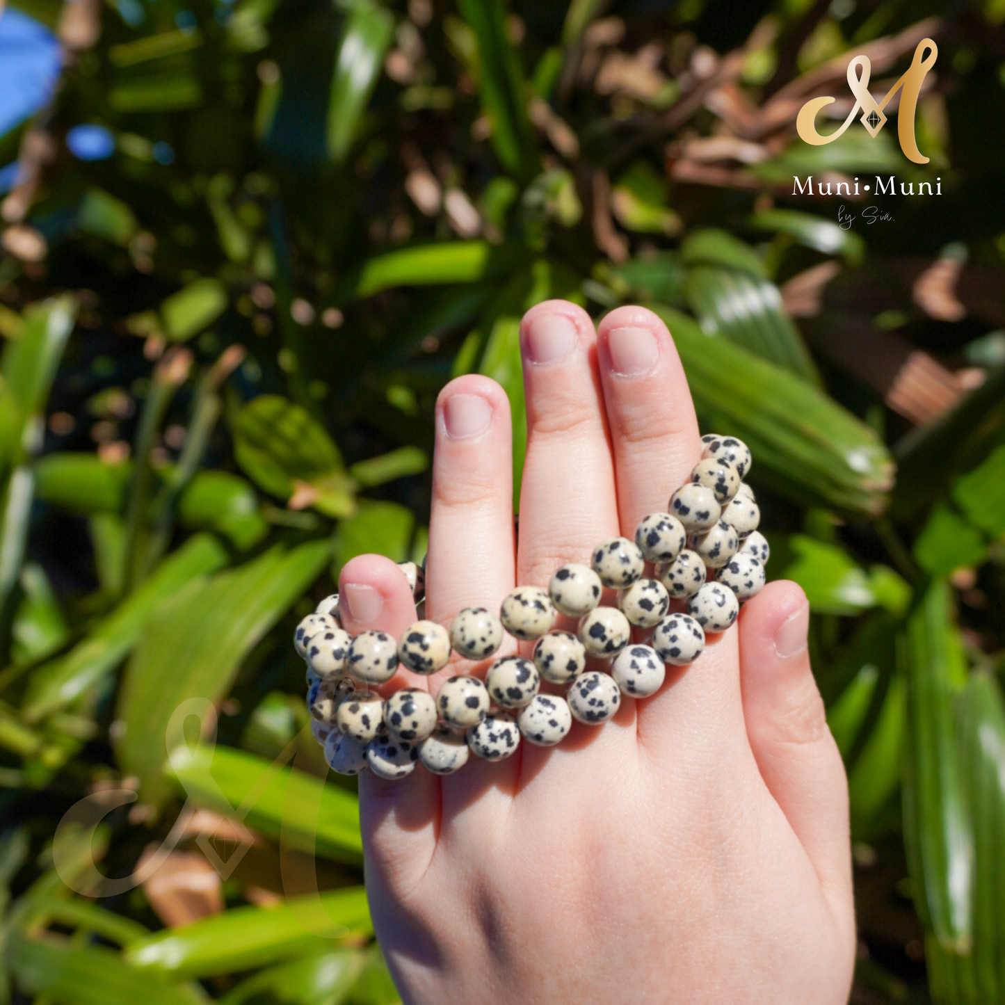 Dalmatian Jasper Bracelet