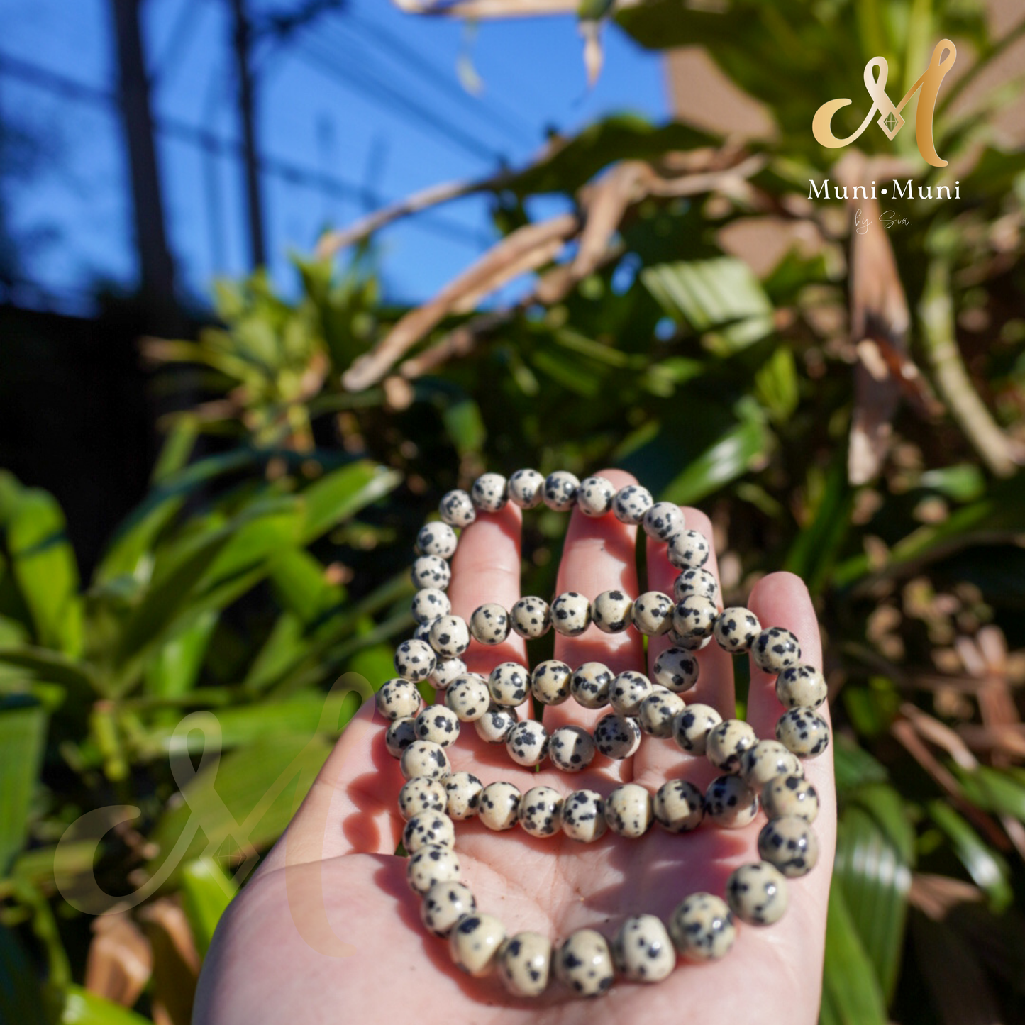 Dalmatian Jasper Bracelet