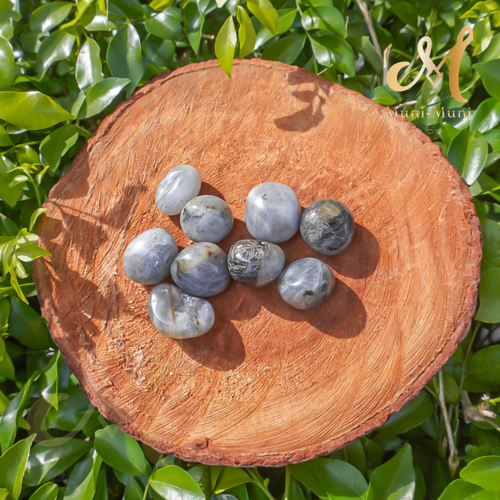 Labradorite Tumbled Crystal