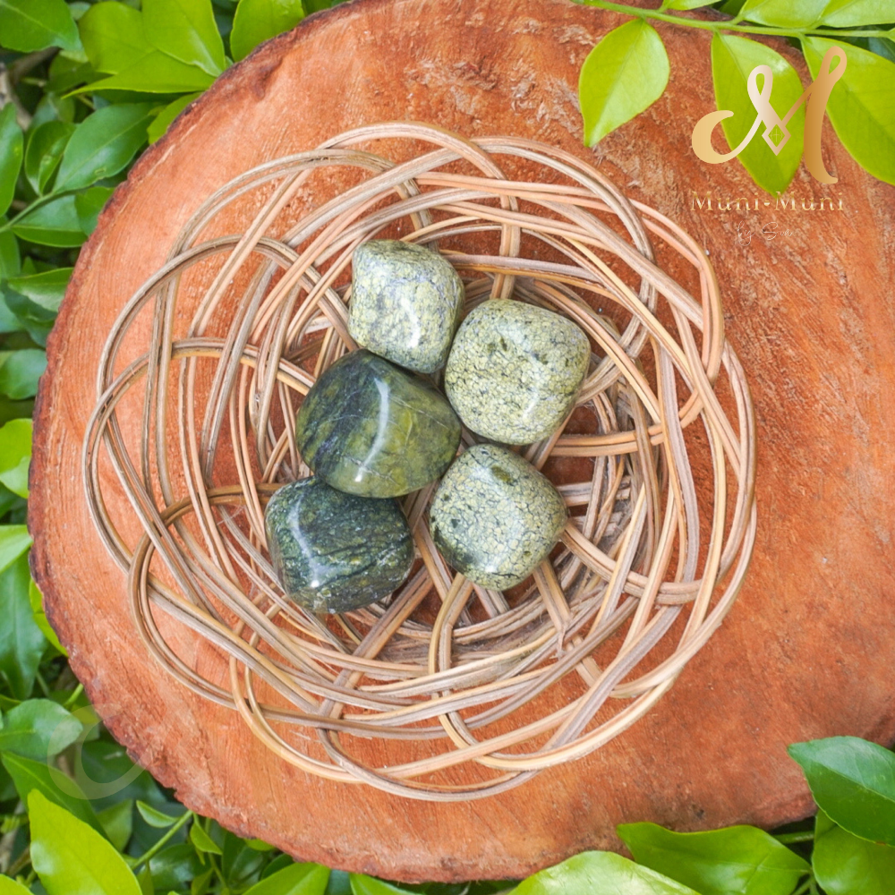 Snakeskin Jasper Tumbled Crystal