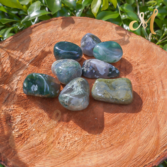 Moss Agate Tumbled Crystal