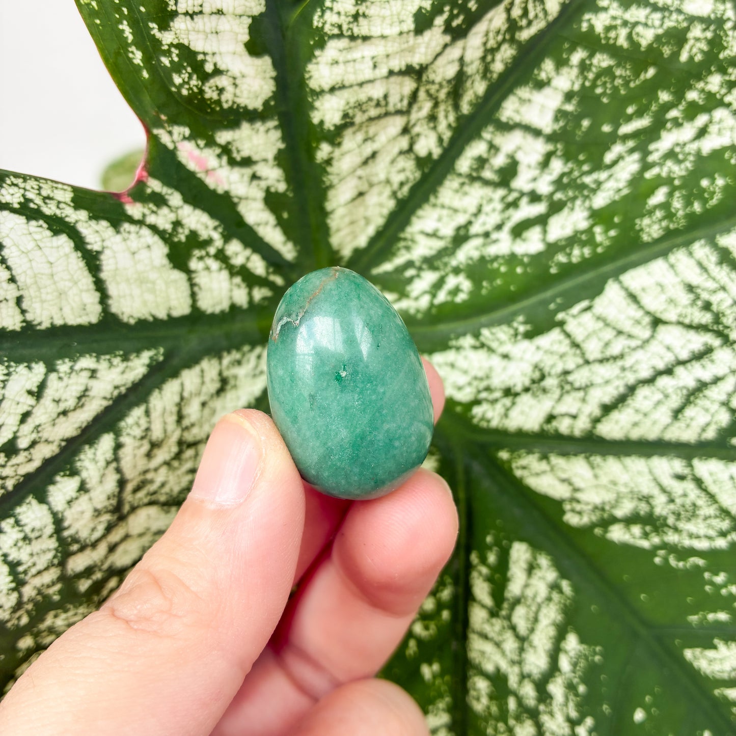 CRAZY SALE: Crystal Eggs