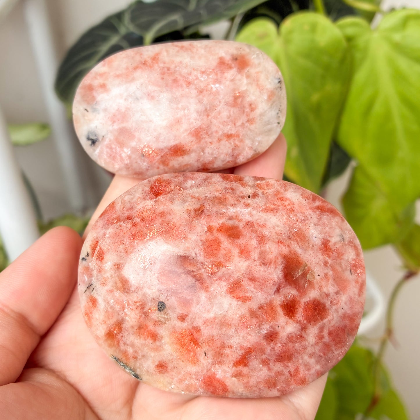 CRAZY SALE: Sunstone Palm Stone