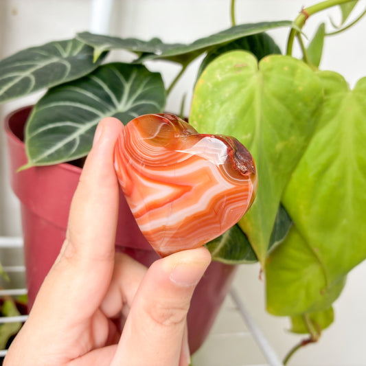 CRAZY SALE: Carnelian Agate Heart & Oval Palm Stone