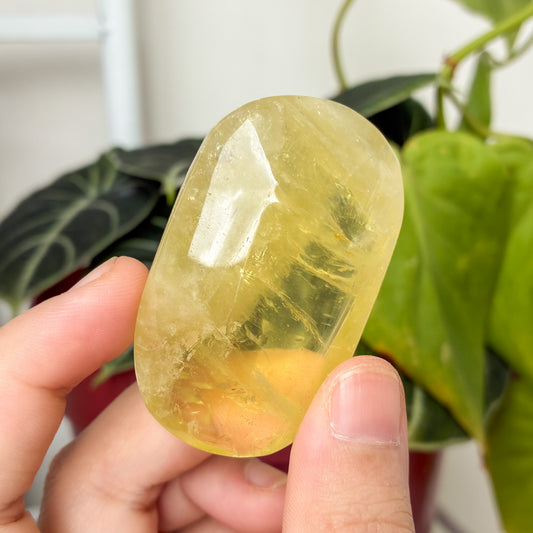 CRAZY SALE: Crystal Palm Stones
