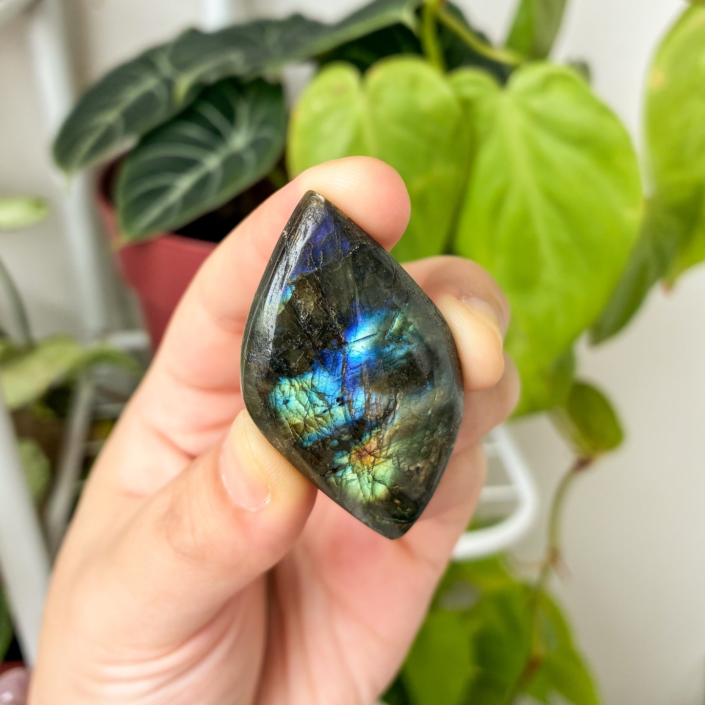 CRAZY SALE: Labradorite Cabochon