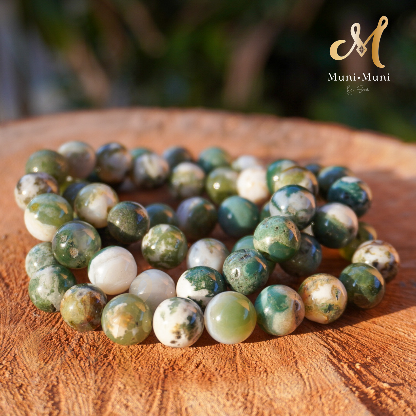 Tree Agate Bracelet 10mm