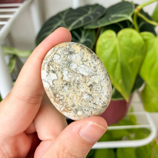CRAZY SALE: Mexican Agate Worry Stone