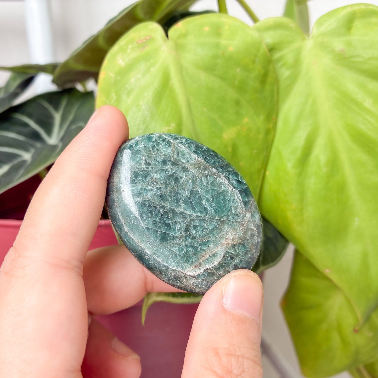 CRAZY SALE: Crystal Palm Stones