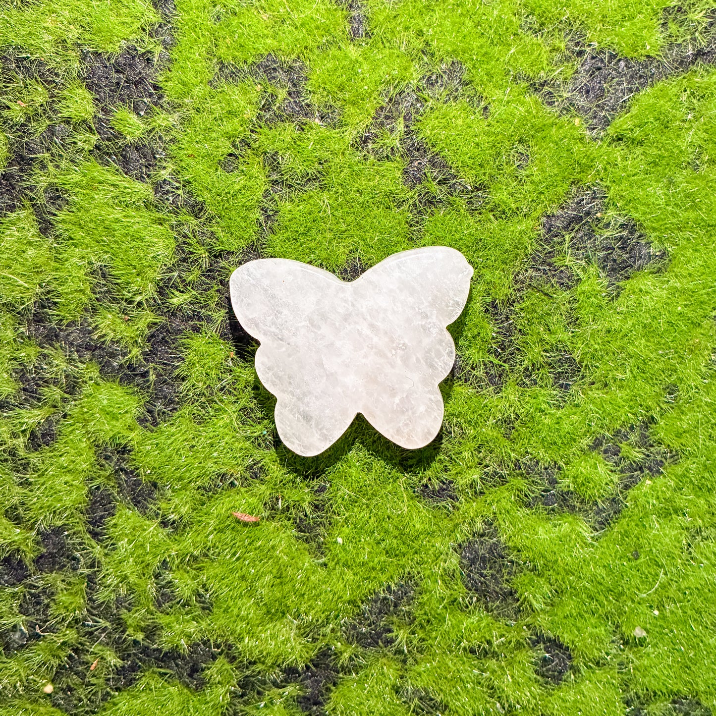 CRAZY SALE: Butterfly Carvings