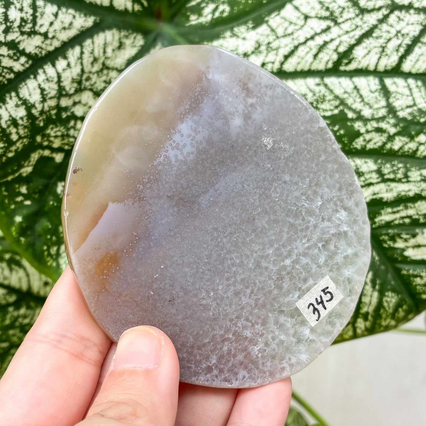 CRAZY SALE: Agate Slab | Agate Slice | Agate Coaster