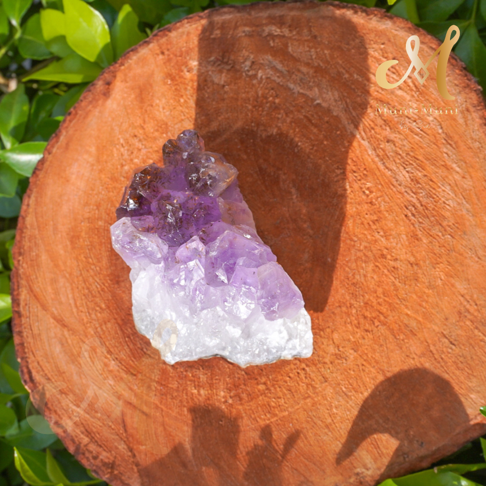 Brazilian Amethyst with Goethite Raw Cluster