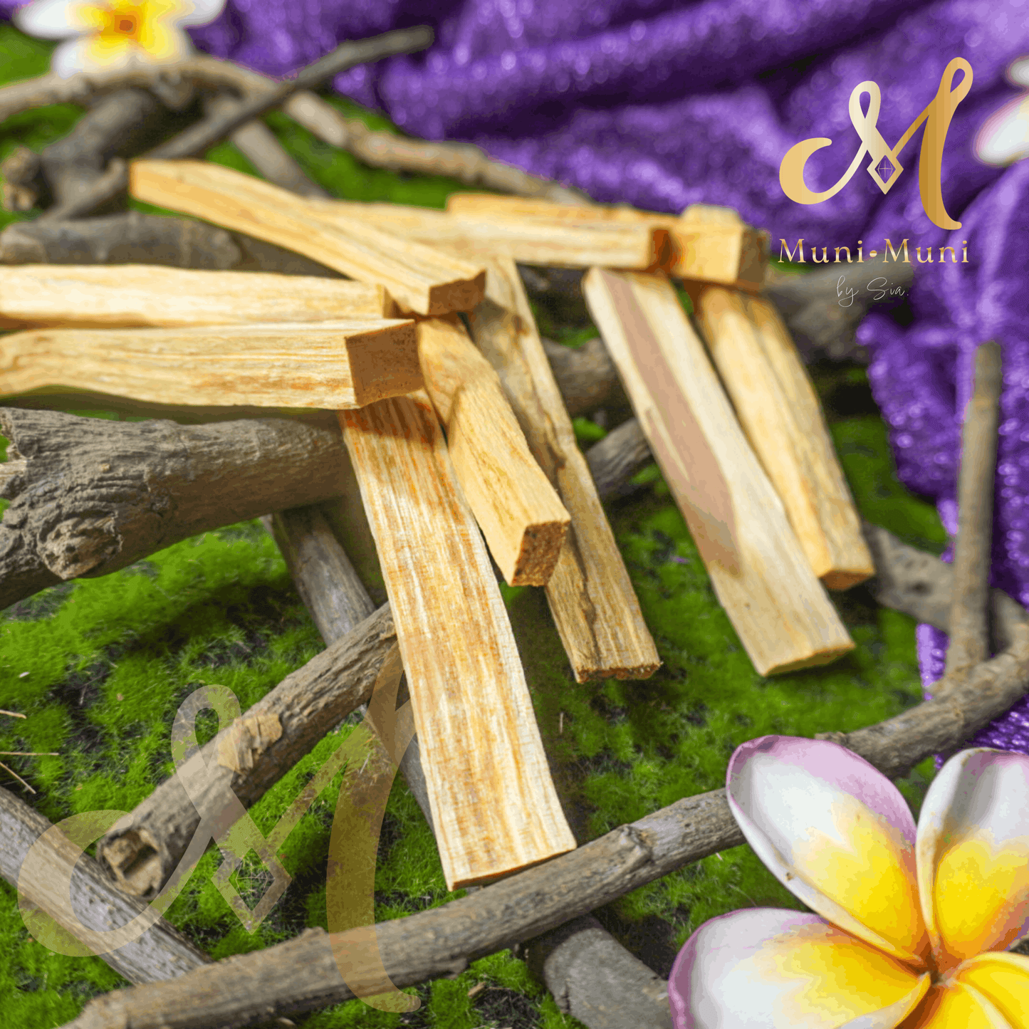 Palo Santo (Crystal Cleansing Incense)