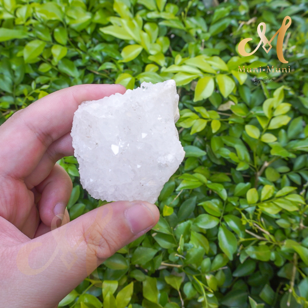 Chrysanthemum Clear Quartz