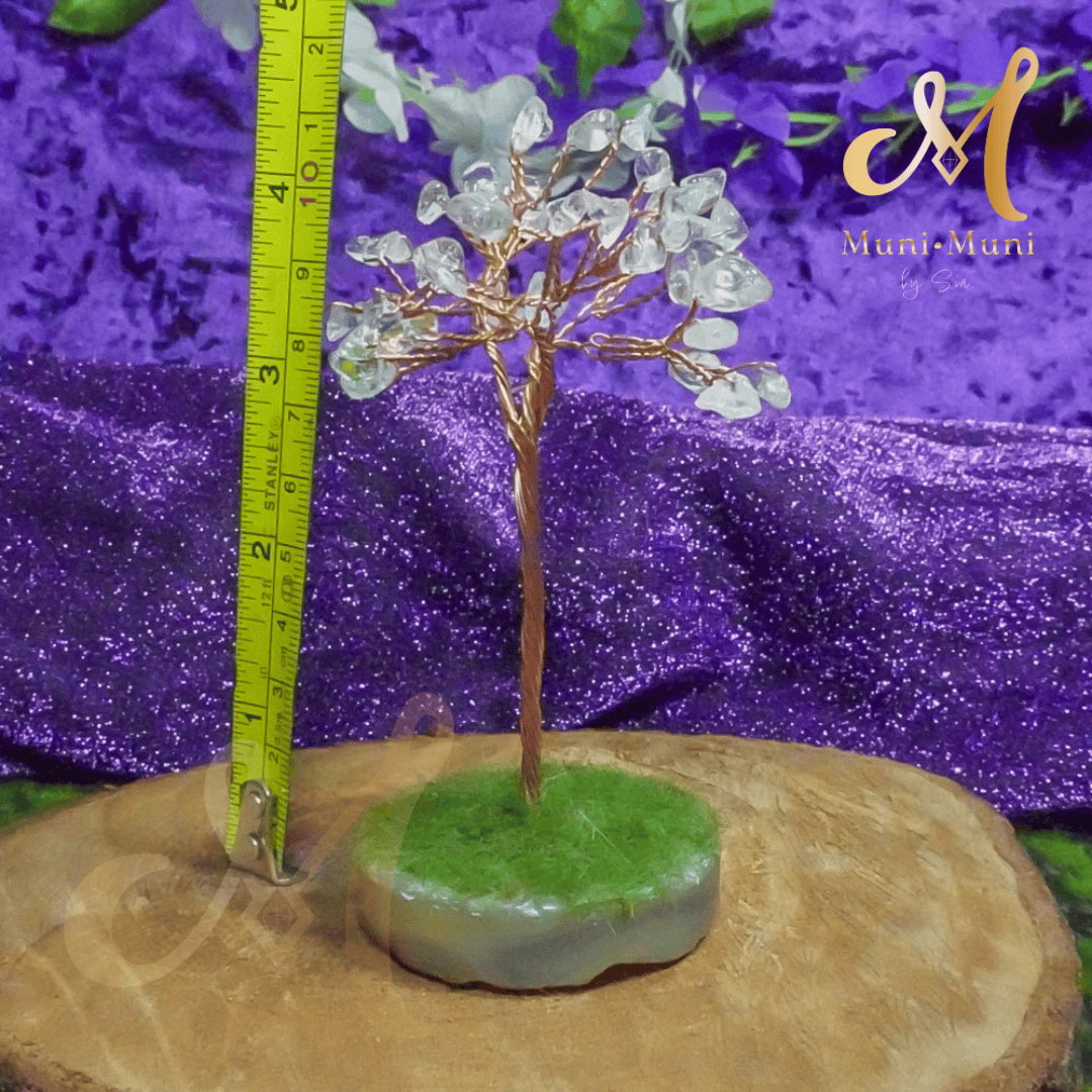 Clear Quartz Natural Crystal Tree with Agate Base