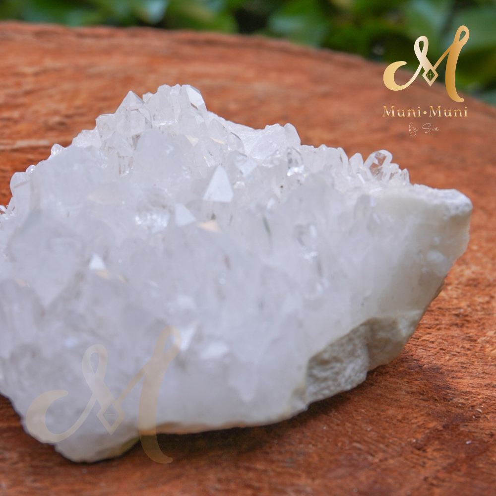 Chrysanthemum Clear Quartz