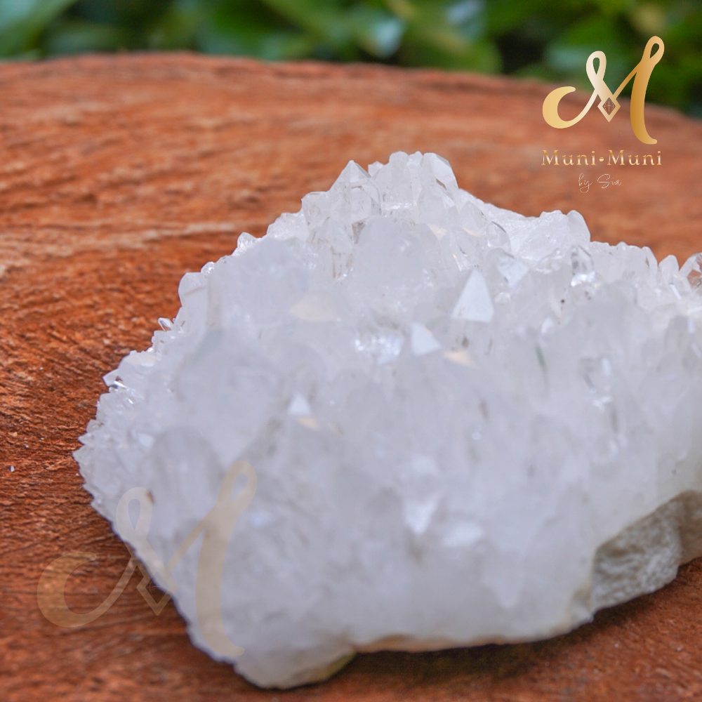 Chrysanthemum Clear Quartz