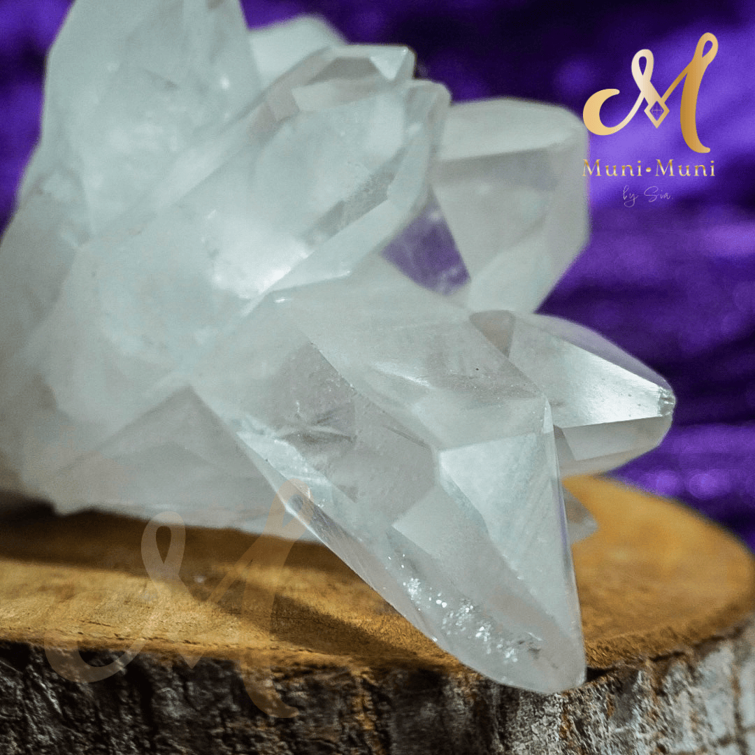 Lemurian Quartz Natural Crystal Cluster Statement Piece