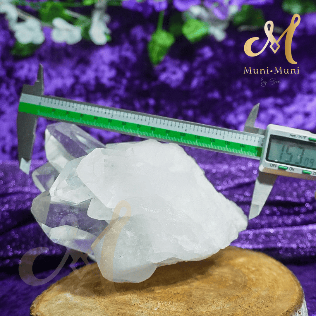 Lemurian Quartz Natural Crystal Cluster Statement Piece