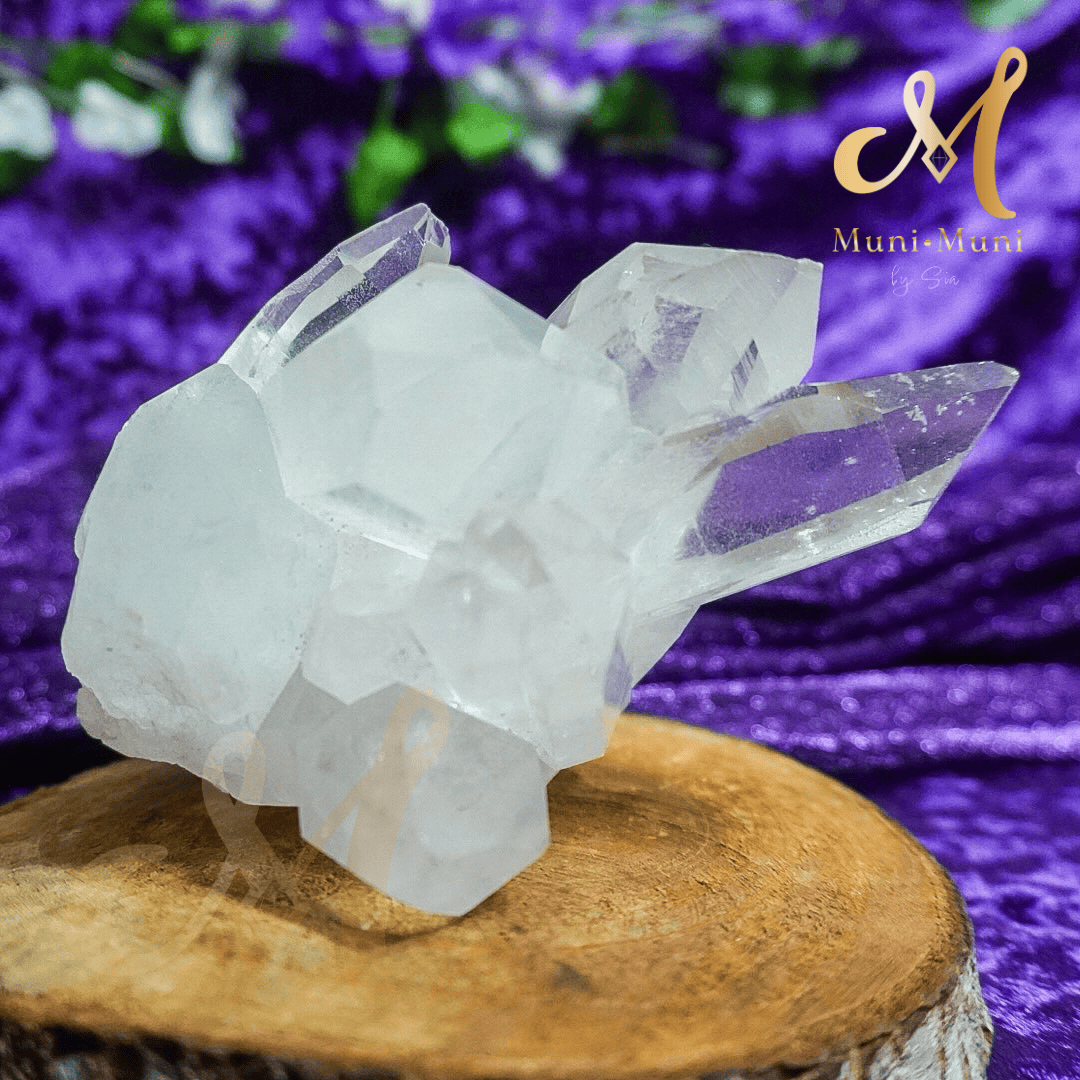 Lemurian Quartz Natural Crystal Cluster Statement Piece