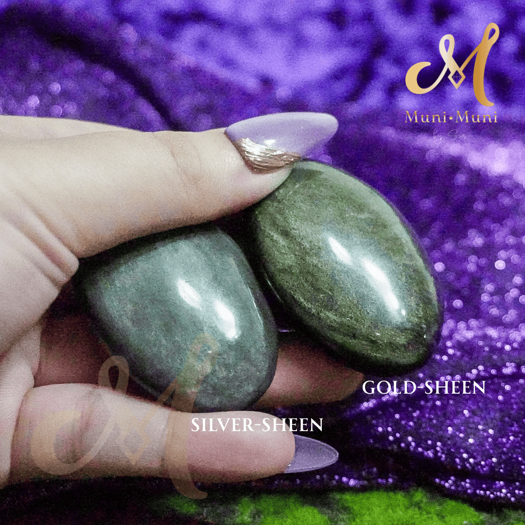 Obsidian Palm Stone Natural Crystal
